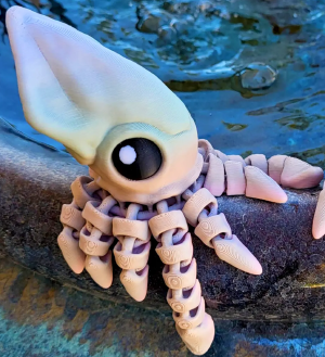 Custom 3D Printed Products