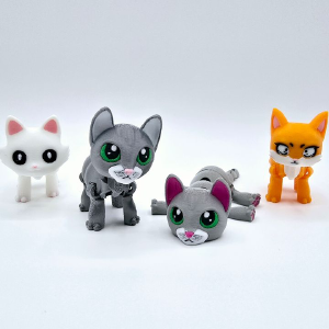 Custom 3D Printed Products